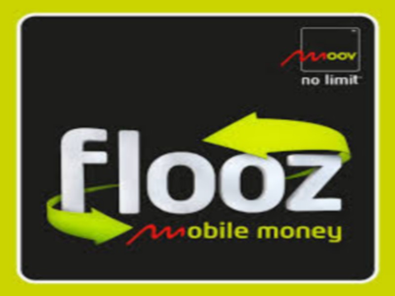 Flooz Logo
